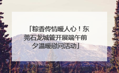 粽香传情暖人心！东莞石龙城管开展端午前夕温暖慰问活动