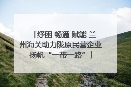 纾困 畅通 赋能 兰州海关助力陇原民营企业扬帆“一带一路”