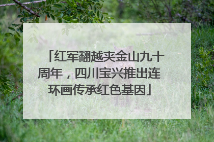 红军翻越夹金山九十周年，四川宝兴推出连环画传承红色基因