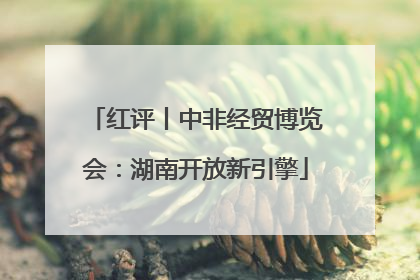 红评丨中非经贸博览会：湖南开放新引擎