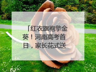 红衣旗袍擎金葵！河南高考首日，家长花式送考藏满爱与盼