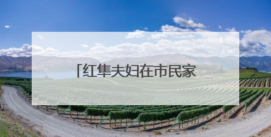 红隼夫妇在市民家阳台孵蛋多日未归，市民将蛋送往红山动物园“抢救”
