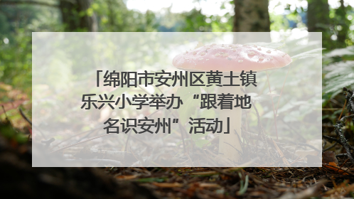 绵阳市安州区黄土镇乐兴小学举办“跟着地名识安州”活动