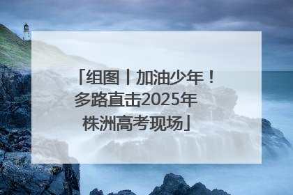 组图丨加油少年！多路直击2025年株洲高考现场