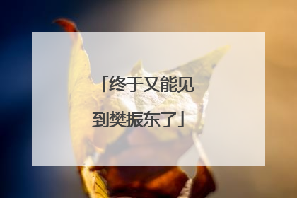 终于又能见到樊振东了