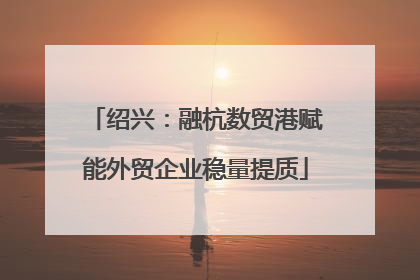 绍兴：融杭数贸港赋能外贸企业稳量提质