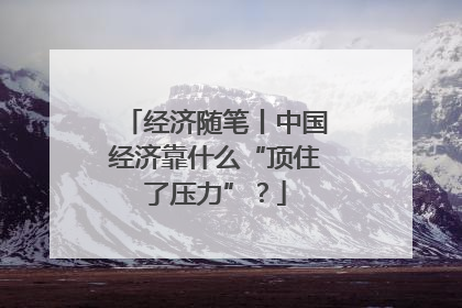 经济随笔丨中国经济靠什么“顶住了压力”？