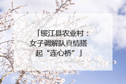 绥江县农业村：女子调解队真情搭起“连心桥”