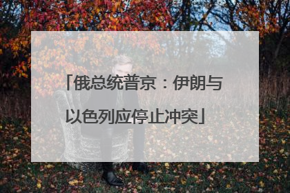 俄总统普京：伊朗与以色列应停止冲突