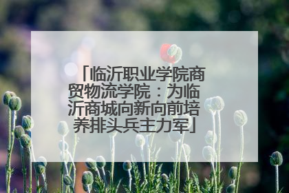 临沂职业学院商贸物流学院：为临沂商城向新向前培养排头兵主力军