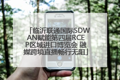 临沂联通国际SDWAN赋能第四届RCEP区域进口博览会 融媒跨境直播畅行无阻