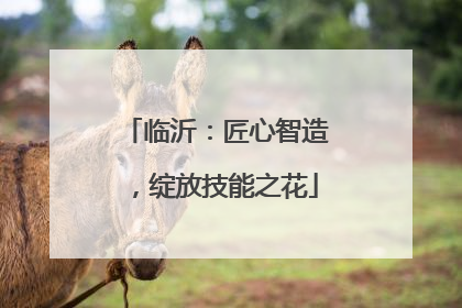 临沂：匠心智造，绽放技能之花
