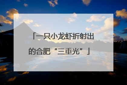 一只小龙虾折射出的合肥“三重光”
