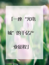 一座“光电城”的千亿产业征程