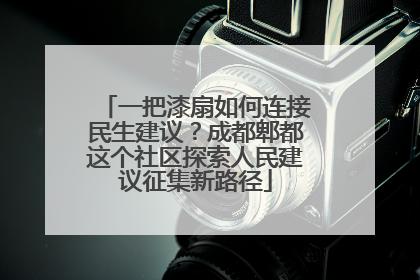 一把漆扇如何连接民生建议？成都郫都这个社区探索人民建议征集新路径