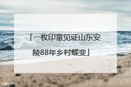 一枚印章见证山东安陵88年乡村蝶变