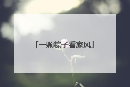 一颗粽子看家风