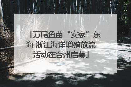 万尾鱼苗“安家”东海 浙江海洋增殖放流活动在台州启幕