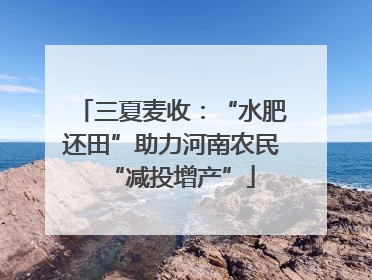 三夏麦收：“水肥还田”助力河南农民“减投增产”