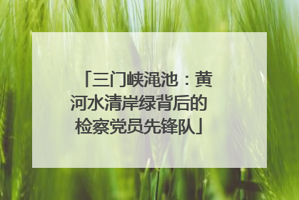 三门峡渑池：黄河水清岸绿背后的检察党员先锋队