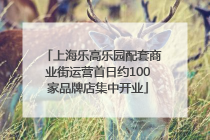 上海乐高乐园配套商业街运营首日约100家品牌店集中开业
