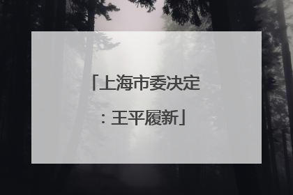 上海市委决定：王平履新