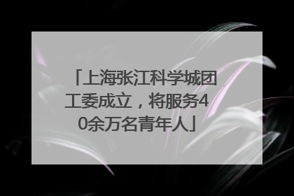 上海张江科学城团工委成立，将服务40余万名青年人