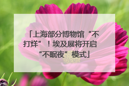 上海部分博物馆“不打烊”！埃及展将开启“不眠夜”模式