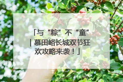 与“粽”不“童”｜慕田峪长城双节狂欢攻略来袭！