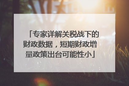 专家详解关税战下的财政数据，短期财政增量政策出台可能性小