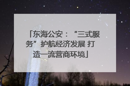 东海公安：“三式服务”护航经济发展 打造一流营商环境