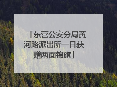 东营公安分局黄河路派出所一日获赠两面锦旗