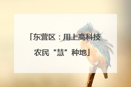 东营区：用上高科技 农民“慧”种地