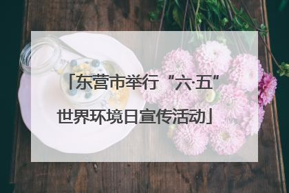 东营市举行“六·五”世界环境日宣传活动