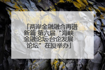 两岸金融融合再谱新篇 第六届“海峡金融论坛·台企发展论坛”在厦举办