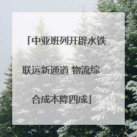 中亚班列开辟水铁联运新通道 物流综合成本降四成