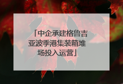 中企承建格鲁吉亚波季港集装箱堆场投入运营