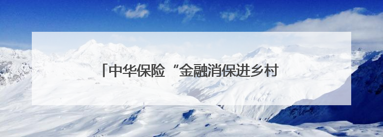 中华保险“金融消保进乡村 送检下乡护春耕”活动纪实