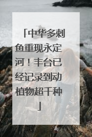 中华多刺鱼重现永定河！丰台已经记录到动植物超千种
