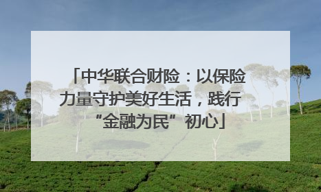 中华联合财险：以保险力量守护美好生活，践行“金融为民”初心