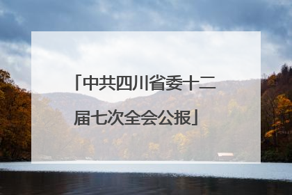 中共四川省委十二届七次全会公报