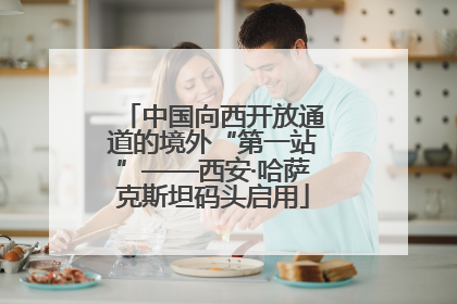 中国向西开放通道的境外“第一站”——西安·哈萨克斯坦码头启用