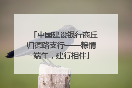 中国建设银行商丘归德路支行——粽情端午，建行相伴