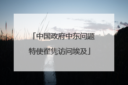 中国政府中东问题特使翟隽访问埃及