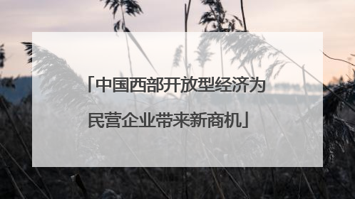 中国西部开放型经济为民营企业带来新商机