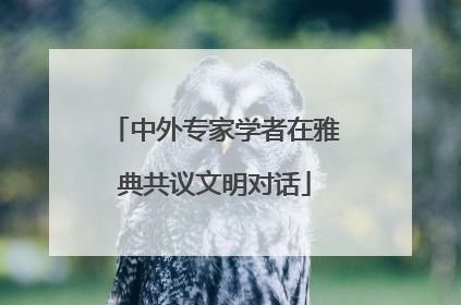 中外专家学者在雅典共议文明对话