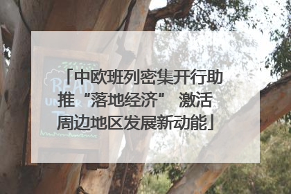 中欧班列密集开行助推“落地经济” 激活周边地区发展新动能