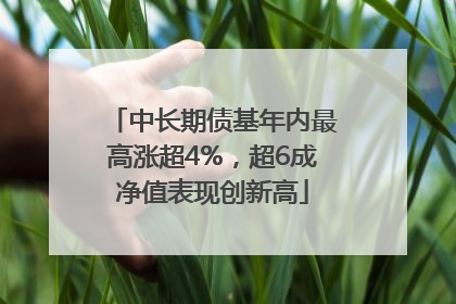 中长期债基年内最高涨超4%，超6成净值表现创新高
