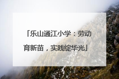 乐山通江小学：劳动育新苗，实践绽华光