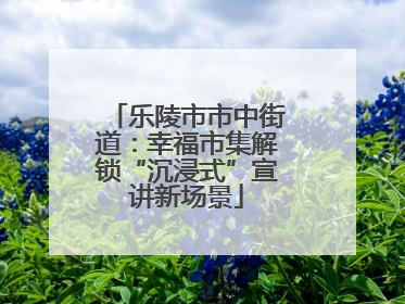 乐陵市市中街道：幸福市集解锁“沉浸式”宣讲新场景